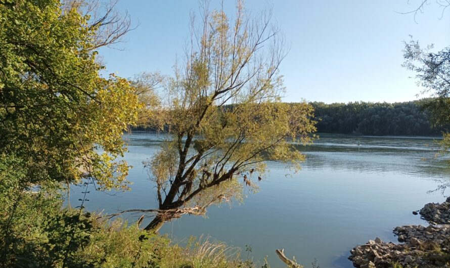 Donaurunde Eckartsau