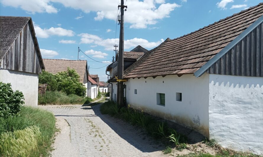 Weinkeller in Pillichsdorf